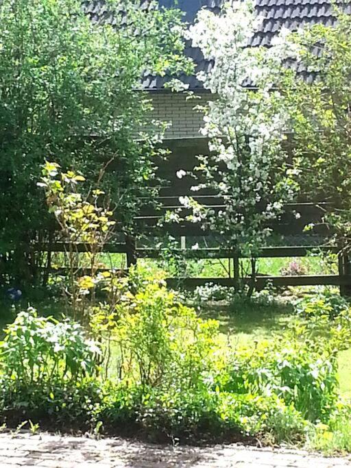 Living .... Mit Grossem Garten . Apartment *