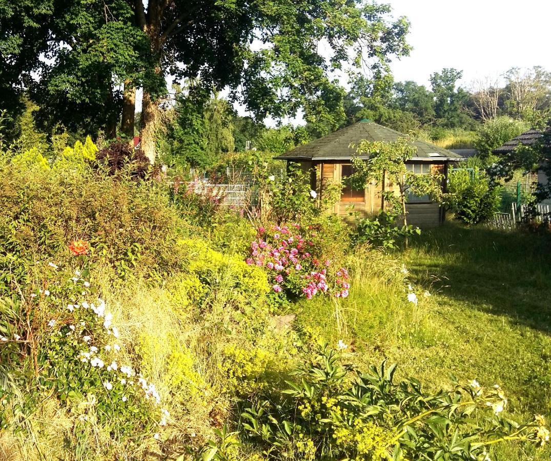 Living .... Mit Grossem Garten . Apartment